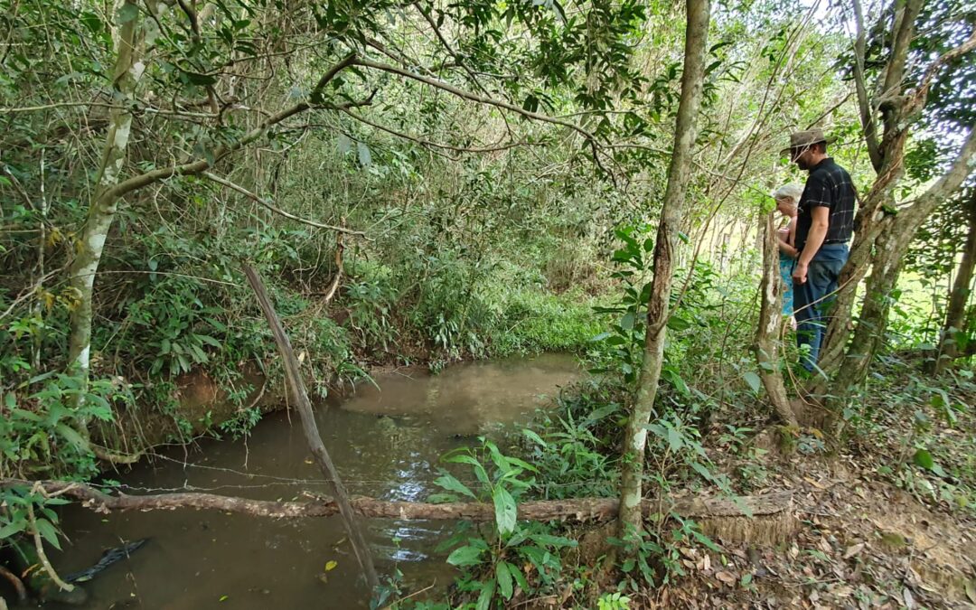 Umgebung der Quelle kreieren