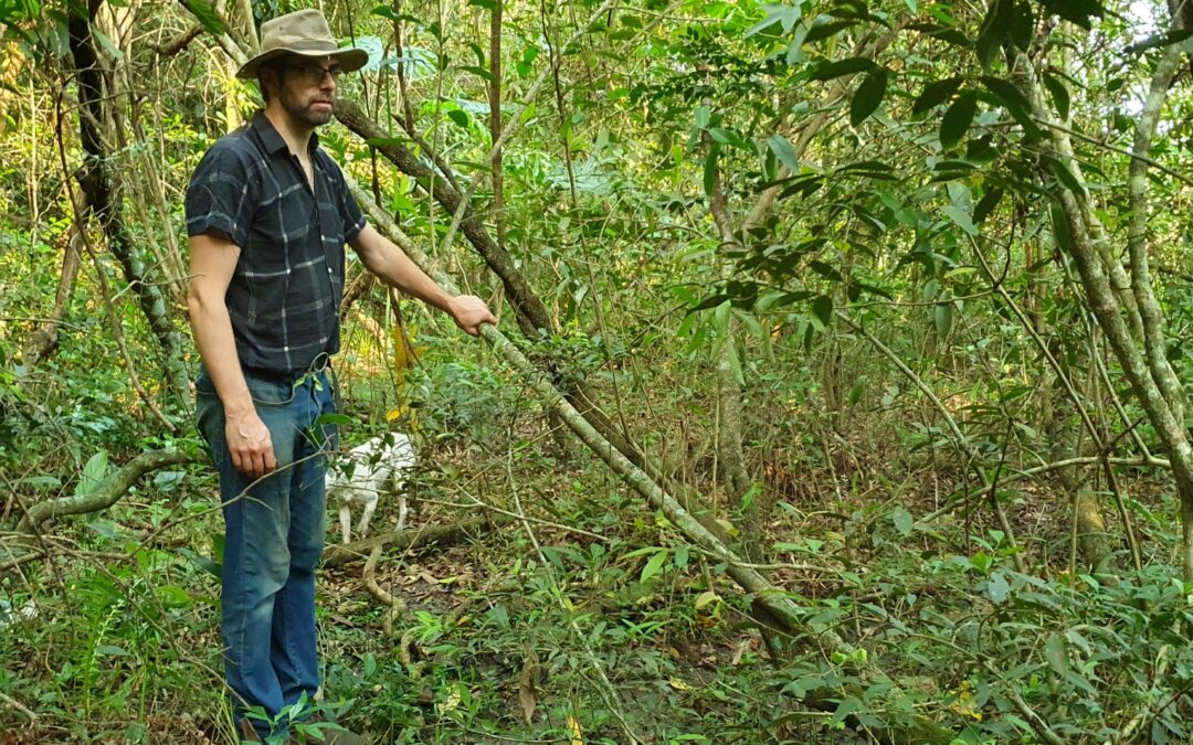 Weg durch das ganze Grundstück